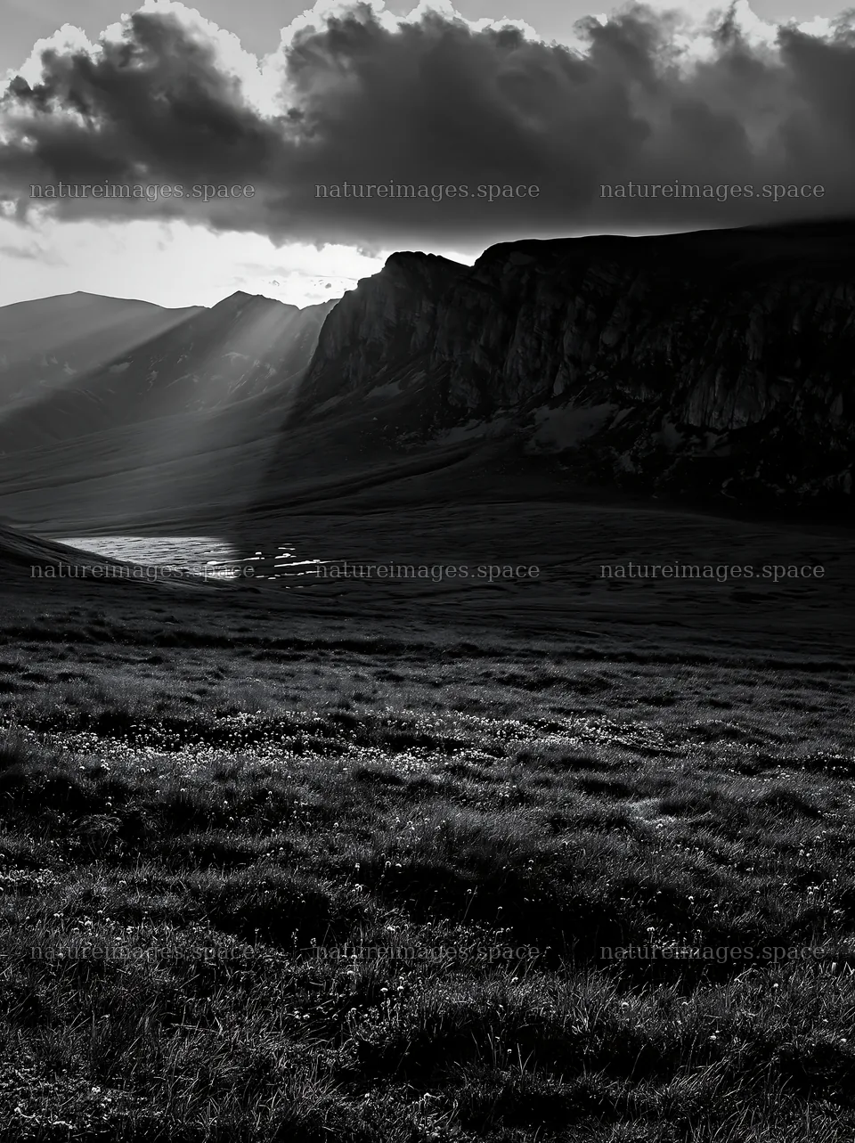 Light rays in Bucegi Mountains meadow at sunset – nature images 6866x9174