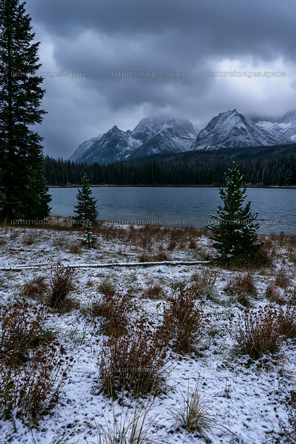 Snowy lakeside meadow with mountains and trees nearby – nature images 6480x9722