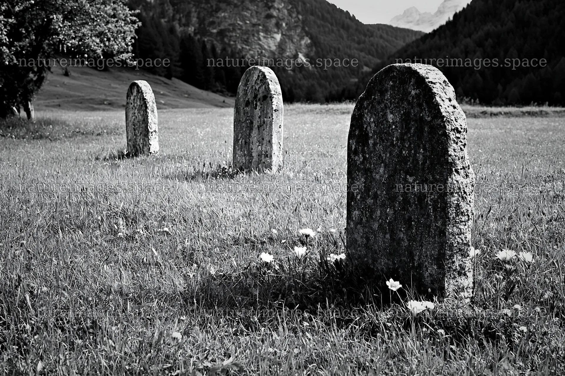Grave markers in meadow with Dolomites in background – nature images 9722x6480