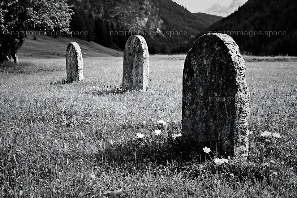 Grave markers in meadow with Dolomites in background – nature images 9722x6480