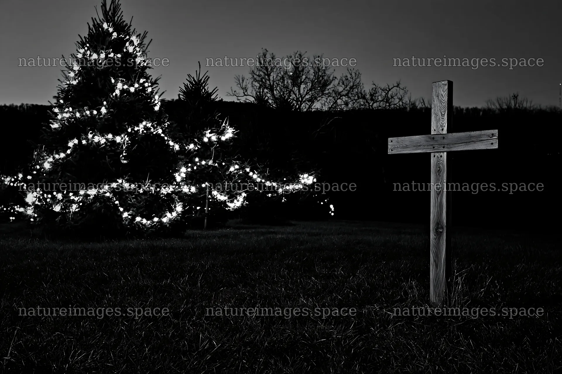 Handcrafted Christian cross in meadow with Christmas tree lights – nature images 9722x6480