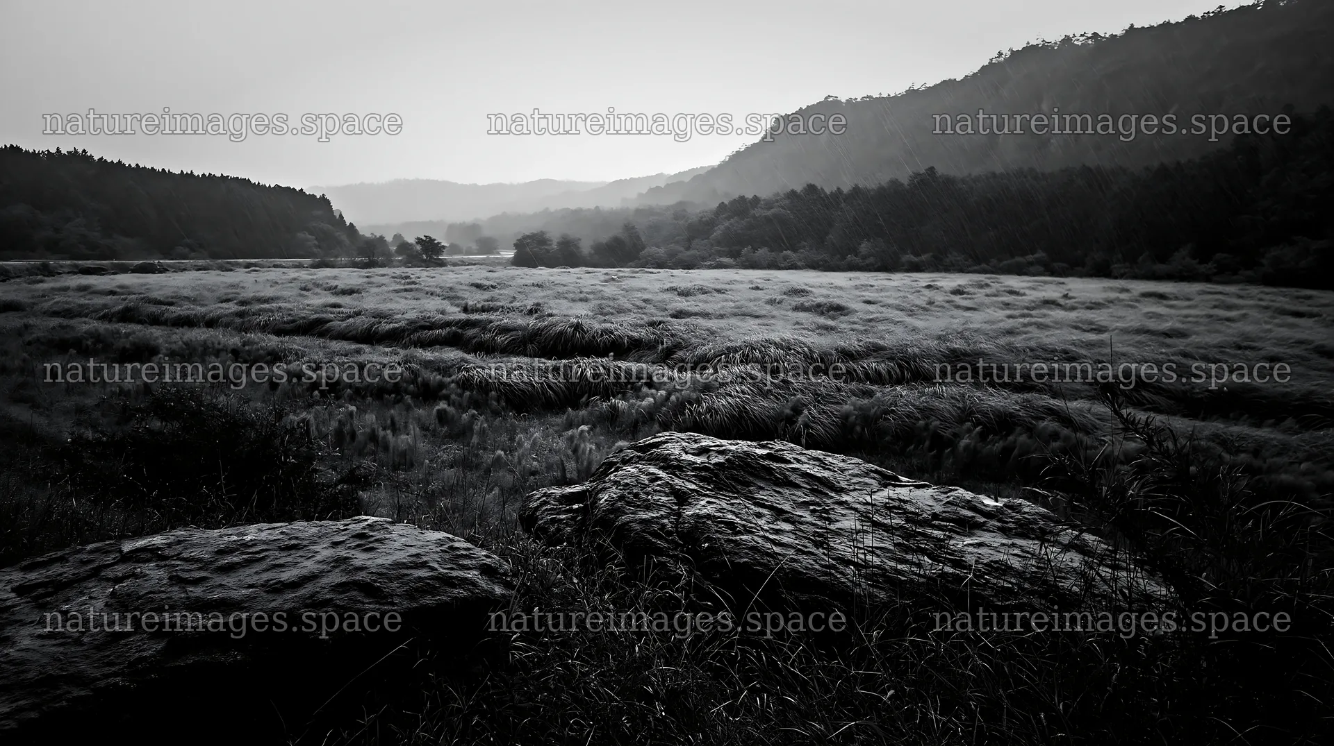 Hiroshima rainy meadow with smooth rocks in foreground – nature images 10608x5938