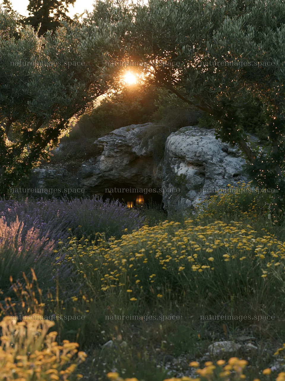 Christmas lanterns beyond cave in meadow at sunset – nature images 6866x9174