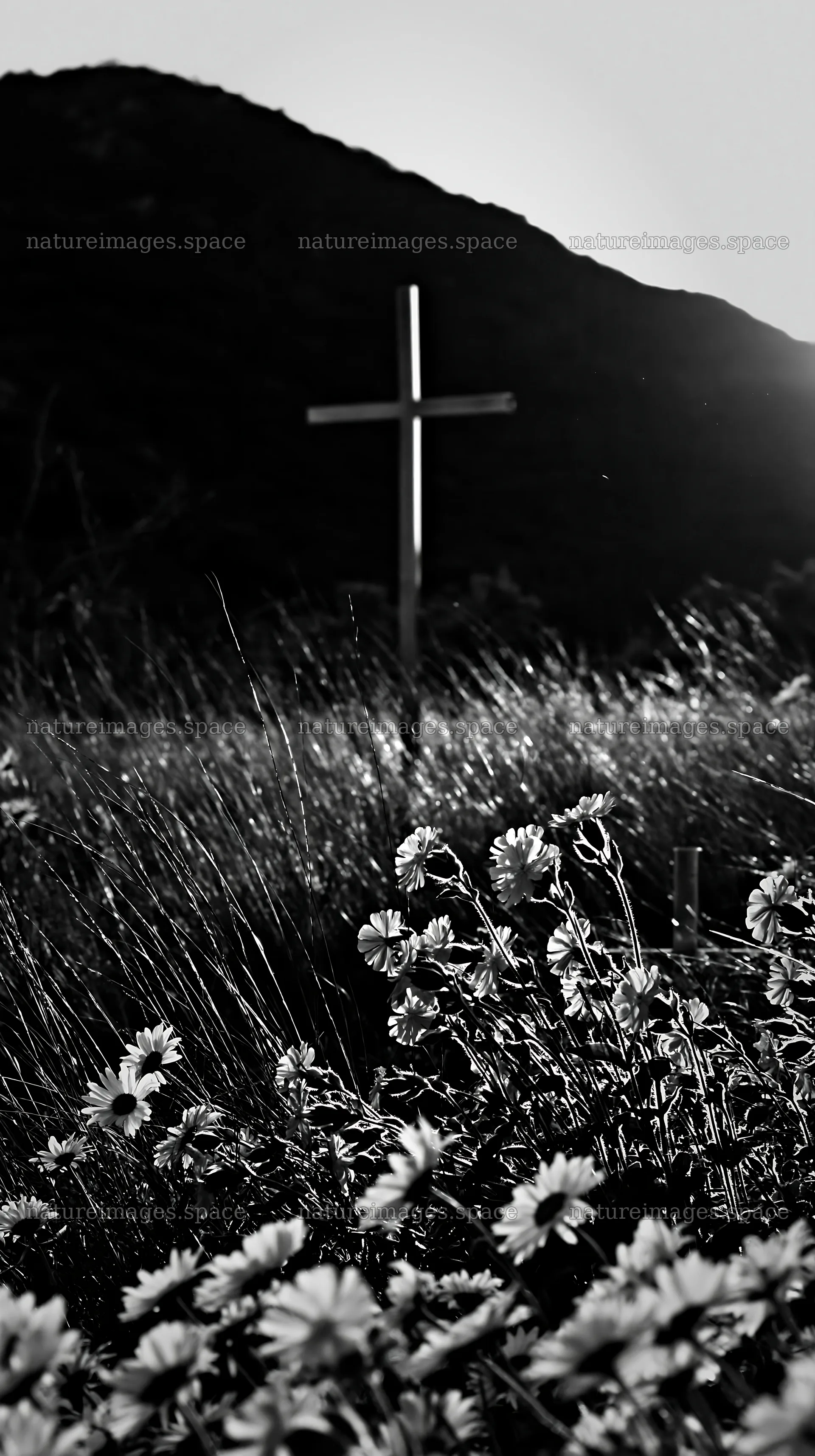 Cross in a Christmas meadow surrounded by flowers – nature images 5938x10608