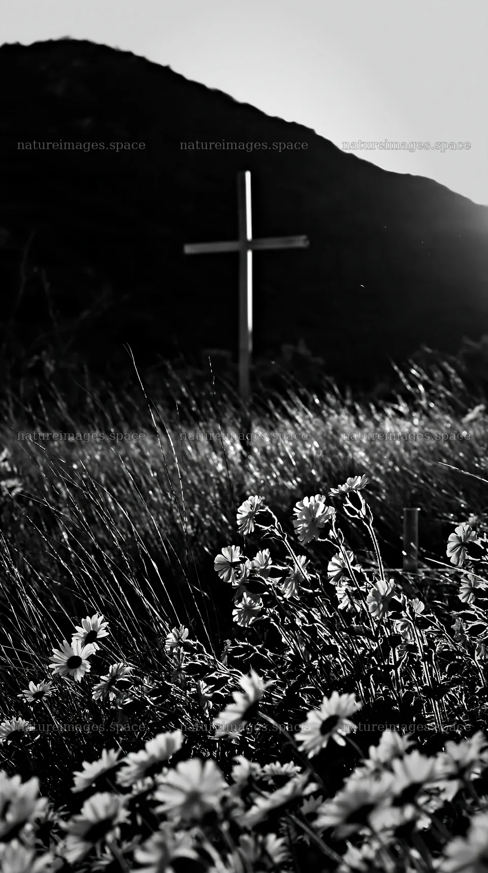 Cross in a Christmas meadow surrounded by flowers – nature images 5938x10608
