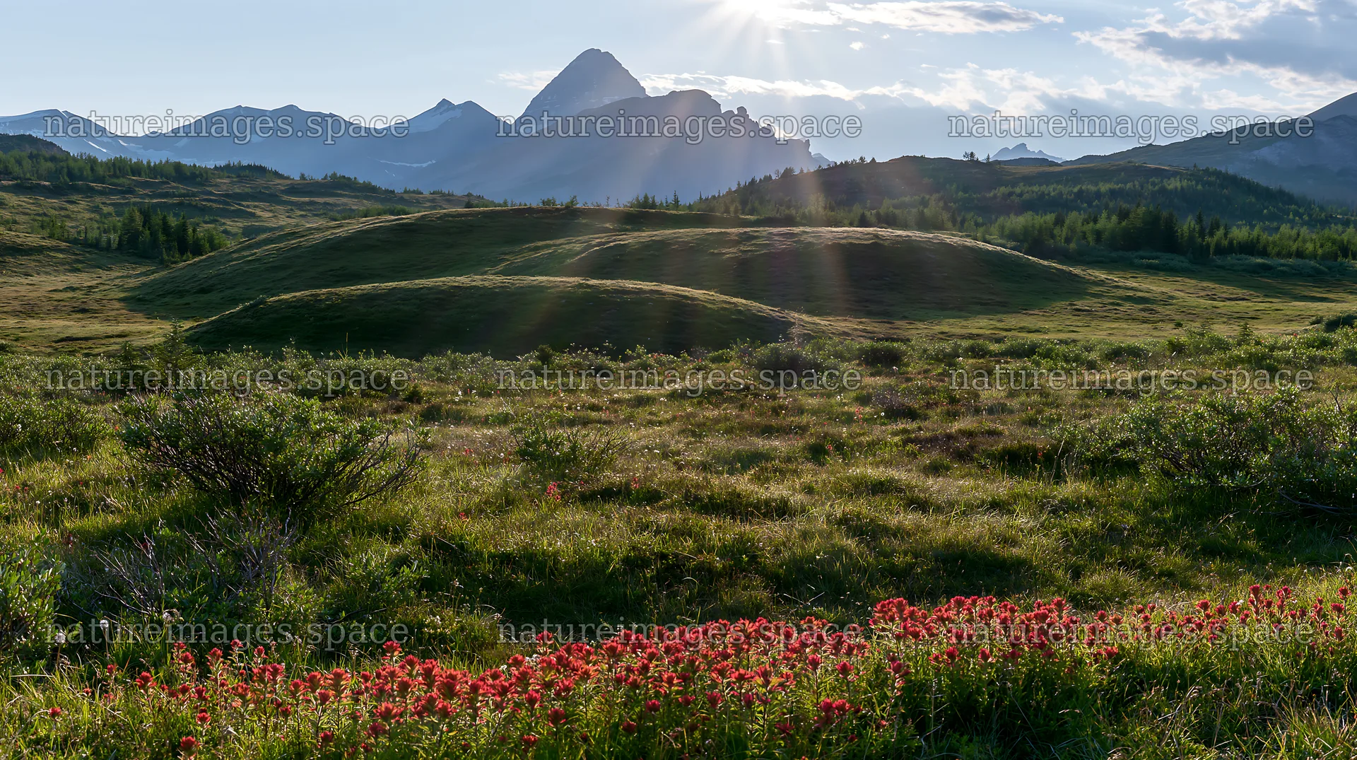 Sunshine Meadows in Banff with light rays shining down – nature images 10608x5938