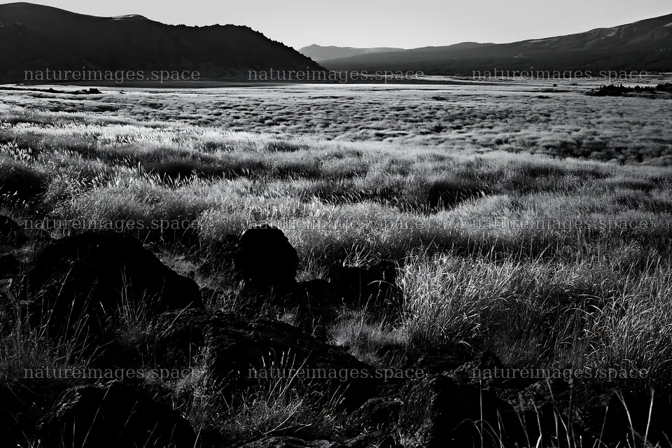Kumamoto volcanic meadow with dark rocks and grassland – nature images 9722x6480
