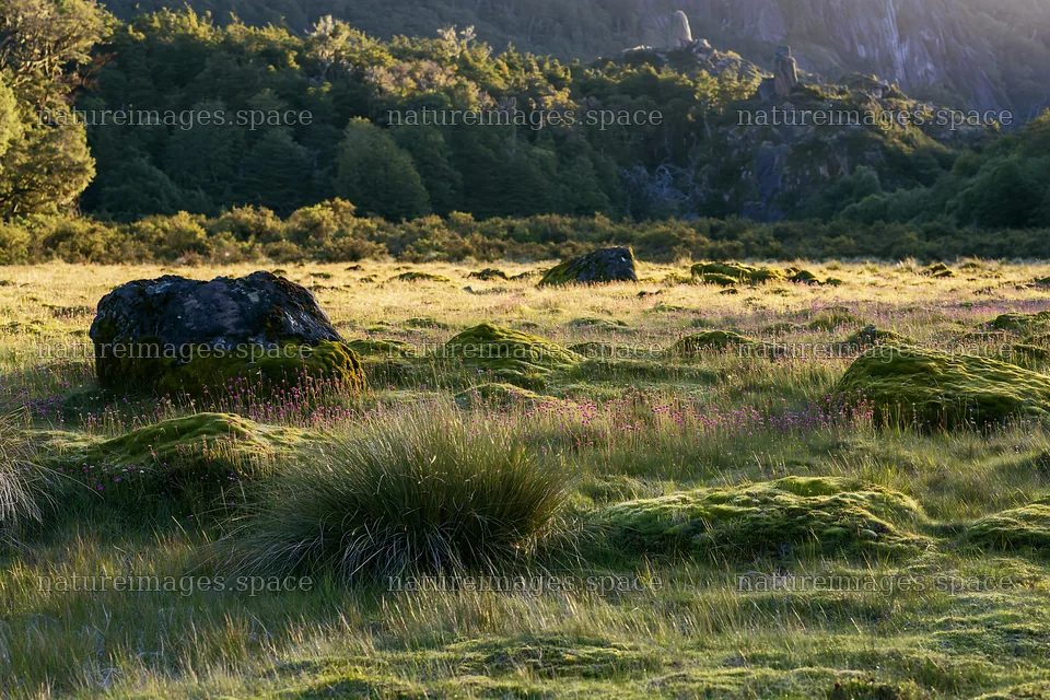 Mossy boulders in a meadow with a backdrop of green hills – nature images 9722x6480