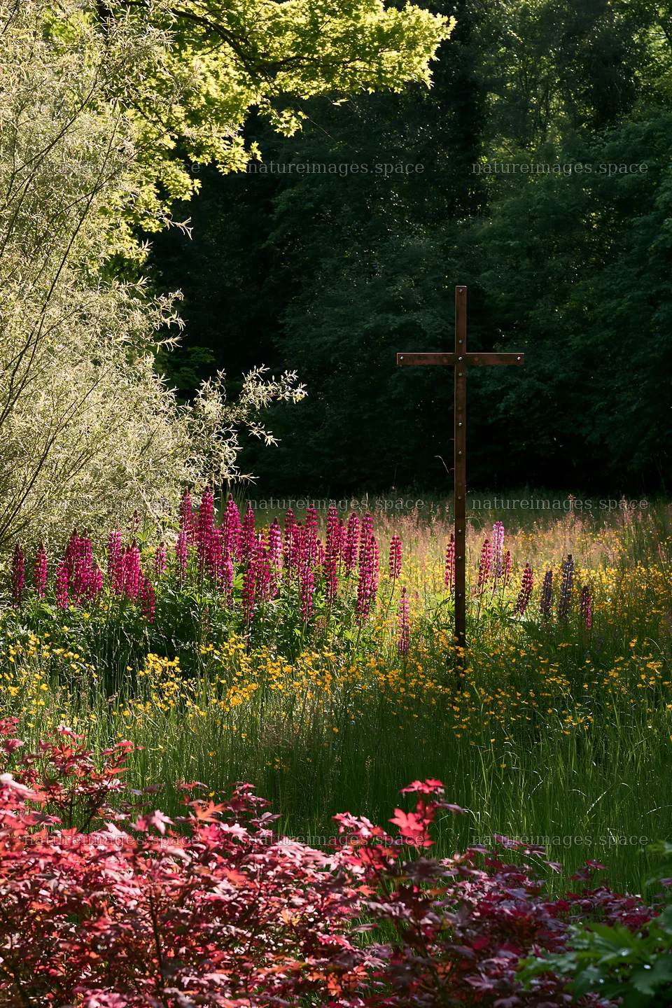 Christian cross beside mineral spring meadow with flowers – nature images 6480x9722