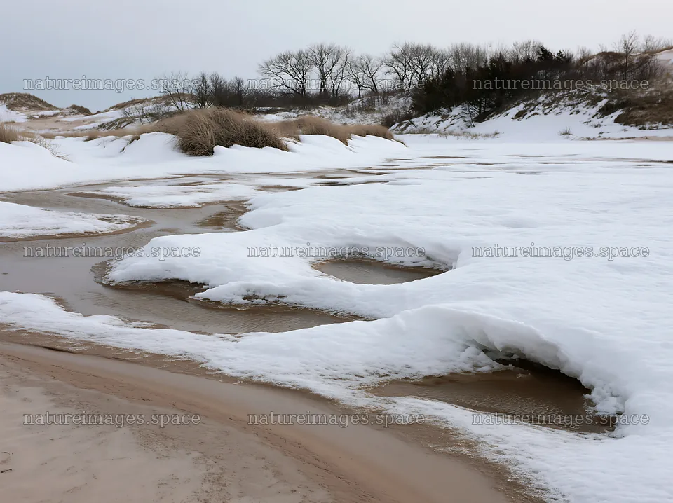 Dune meadow with snow and water features in winter – nature images 9174x6866