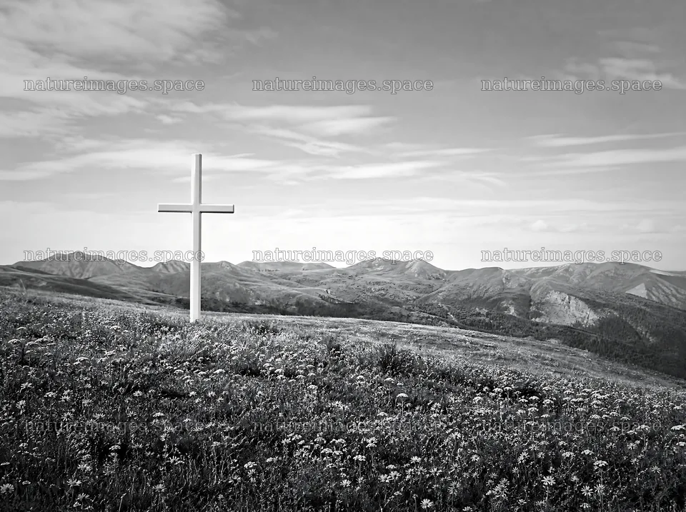 White Christian cross in a wildflower meadow at hot springs – nature images 9186x6858