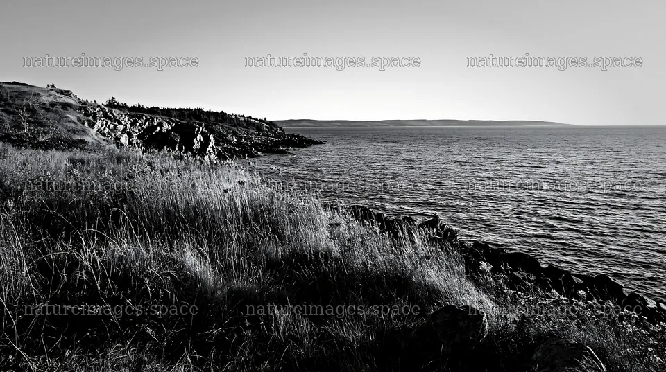 Coastal meadow cliffs with grass and rocky shoreline at sunset – nature images 10608x5938