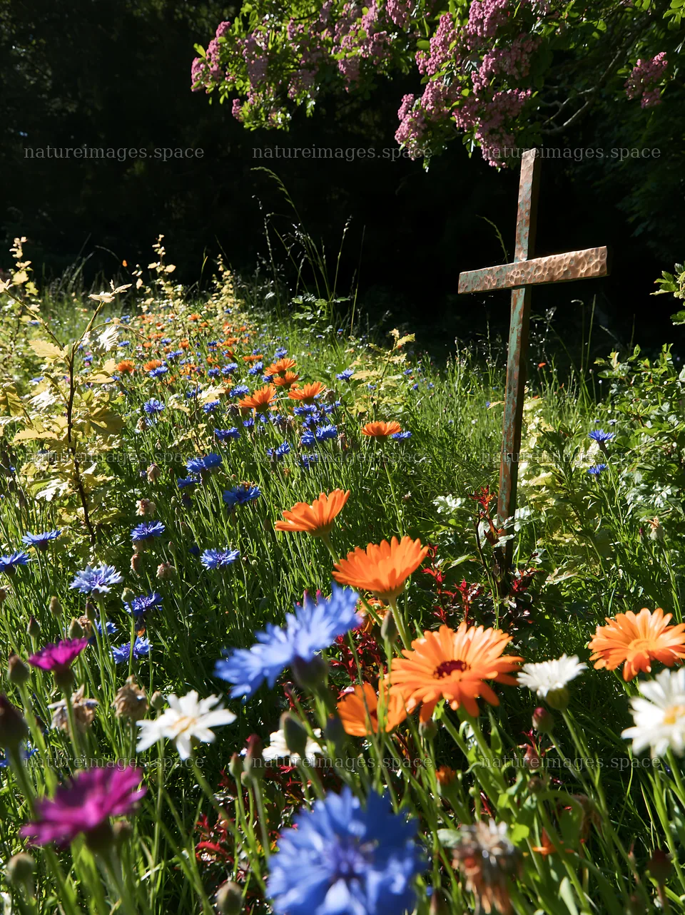 Christian cross in a Christmas meadow with colorful flowers – nature images 6866x9174