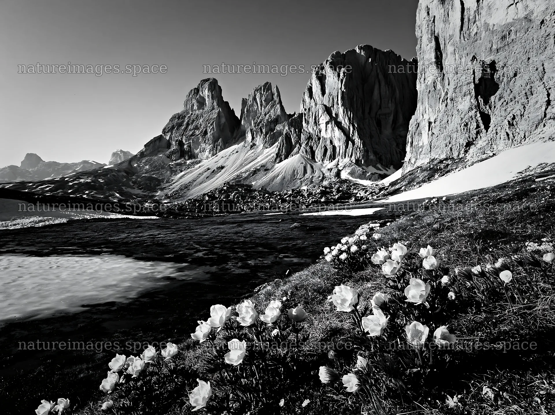 Frozen tarn meadow surrounded by mountains and flowers – nature images 9174x6866