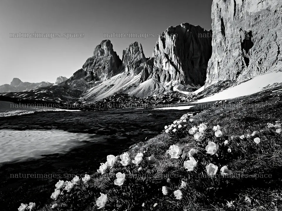 Frozen tarn meadow surrounded by mountains and flowers – nature images 9174x6866