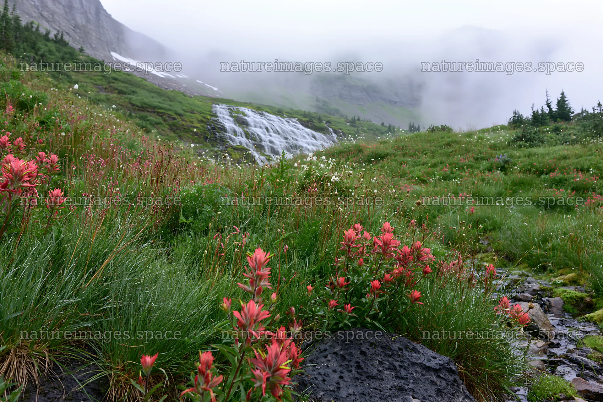 Misty mountain waterfall in a meadow with wildflowers – nature images 9722x6480