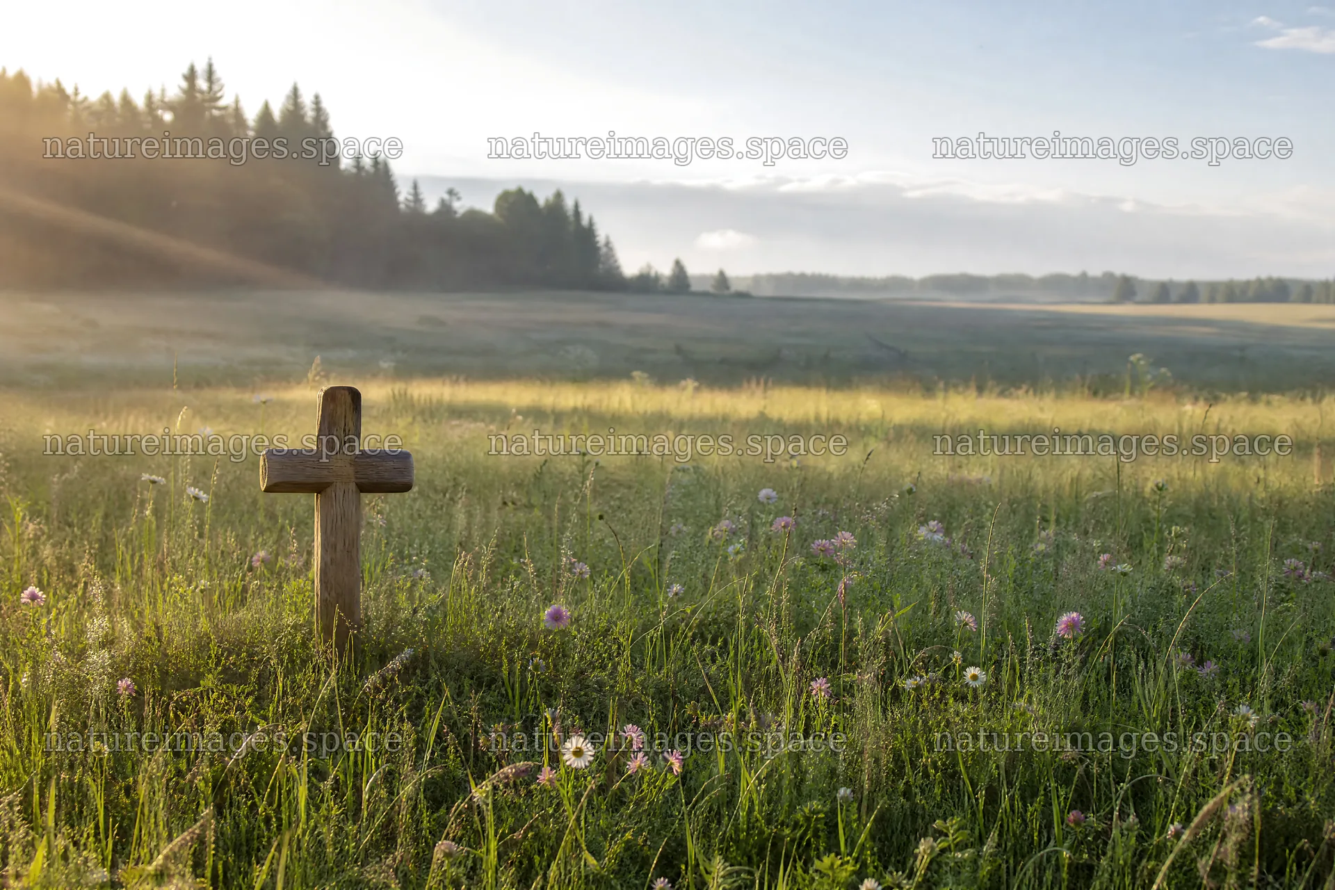 Christian cross in meadow with light rays shining through trees – nature images 9722x6480