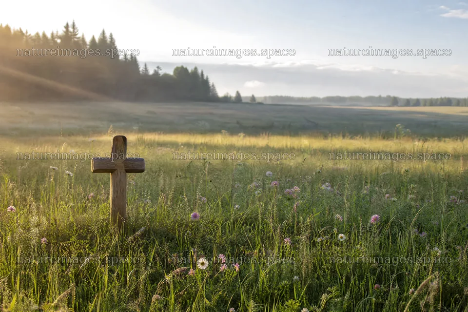 Christian cross in meadow with light rays shining through trees – nature images 9722x6480