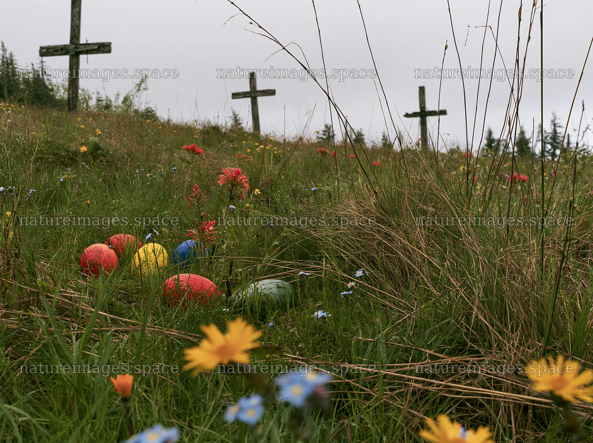 Christian crosses in rain soaked meadow with colorful balls – nature images 9174x6866