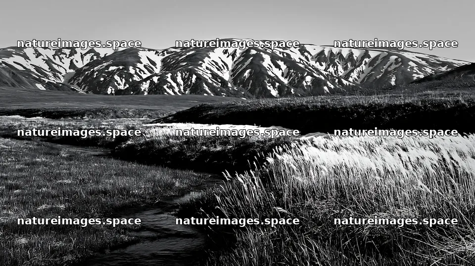 Akita snowmelt meadow with silver grasses seen in spring – nature images 10608x5938