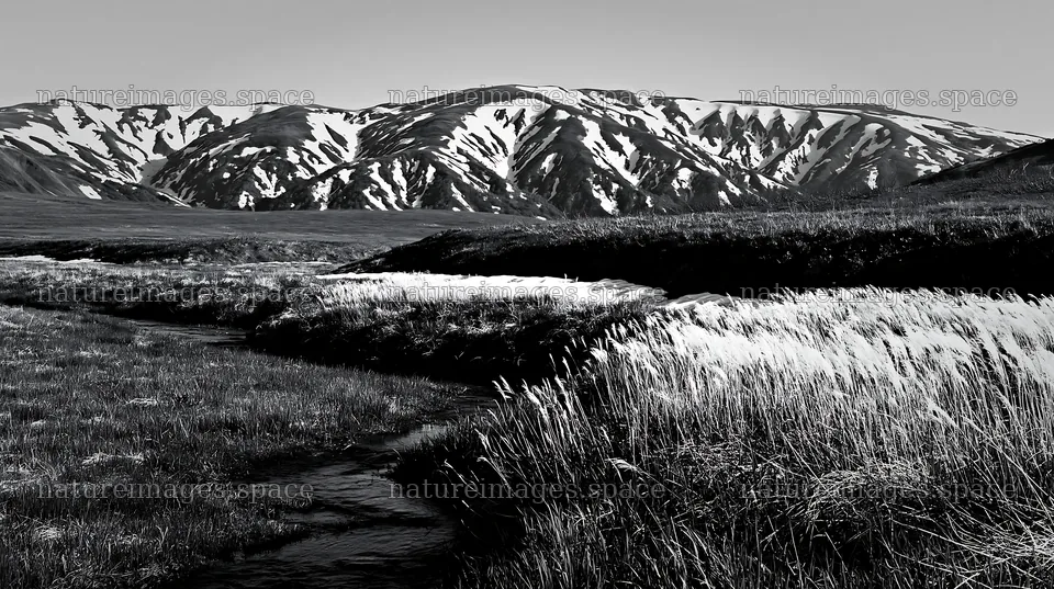 Akita snowmelt meadow with silver grasses seen in spring – nature images 10608x5938