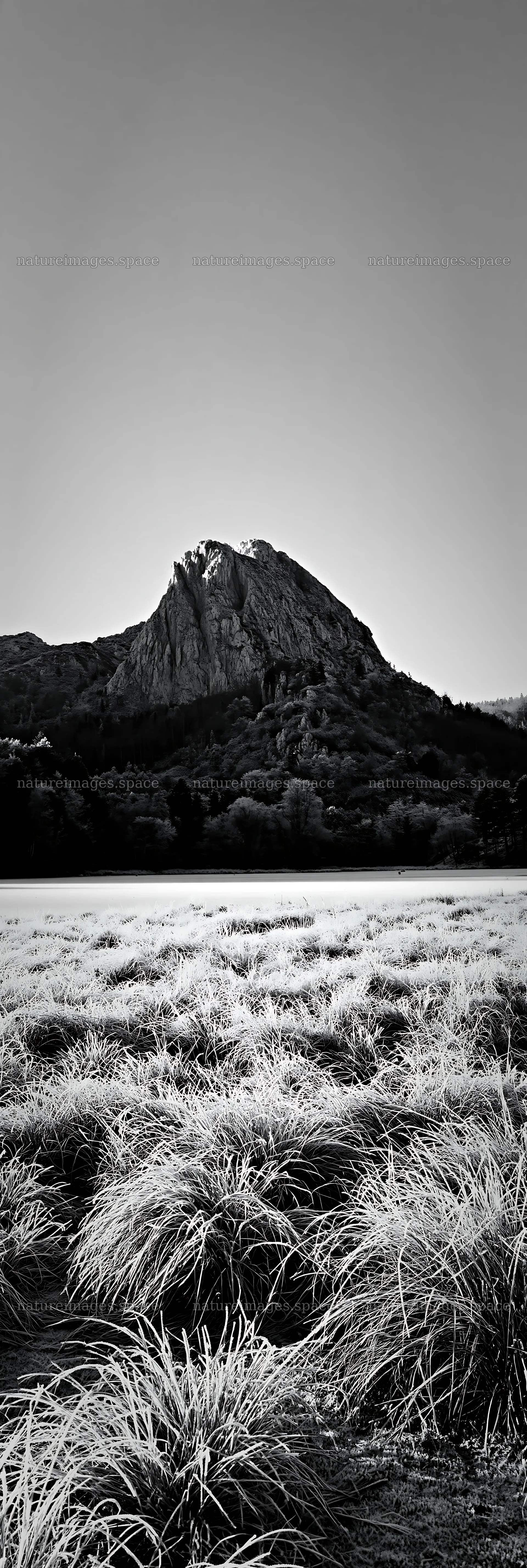 Frozen tarn meadow with mountain backdrop in black and white – nature images 4602x13690
