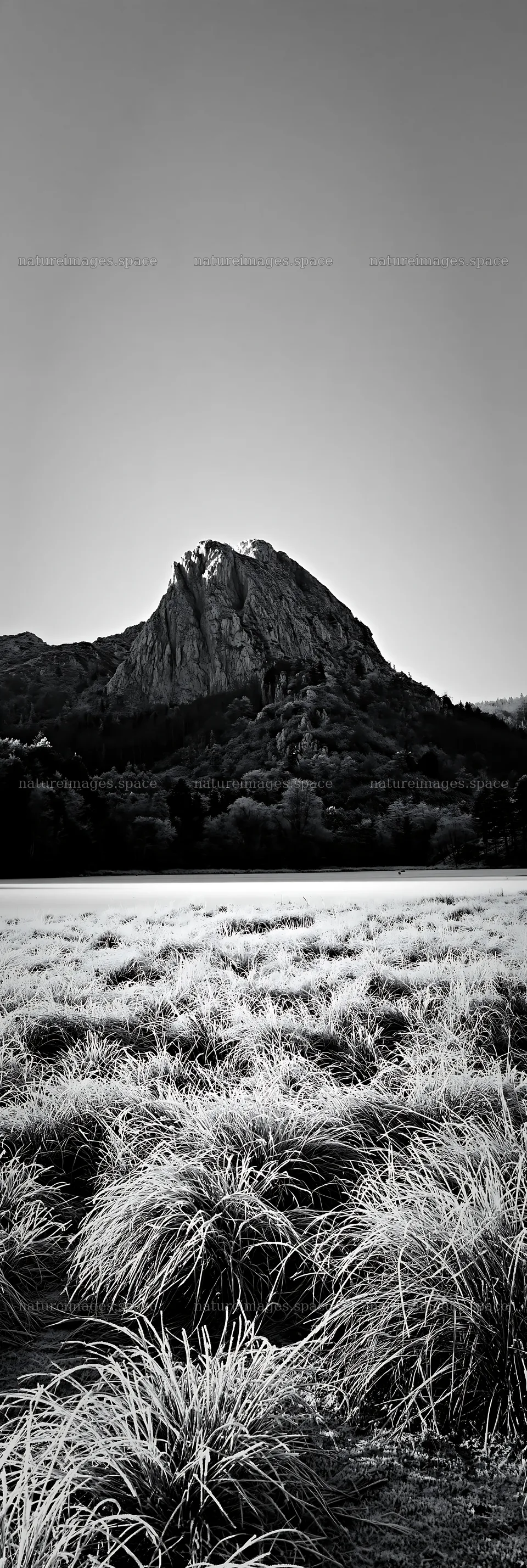 Frozen tarn meadow with mountain backdrop in black and white – nature images 4602x13690
