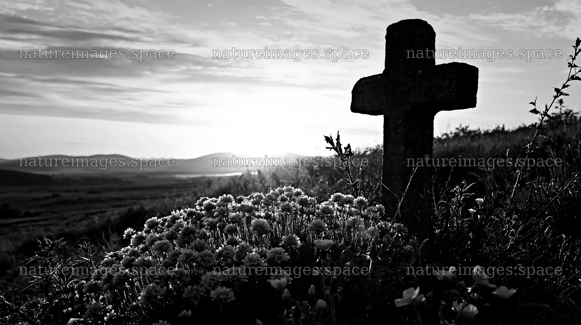 Christian cross at sunrise over meadow with flowers – nature images 10608x5938