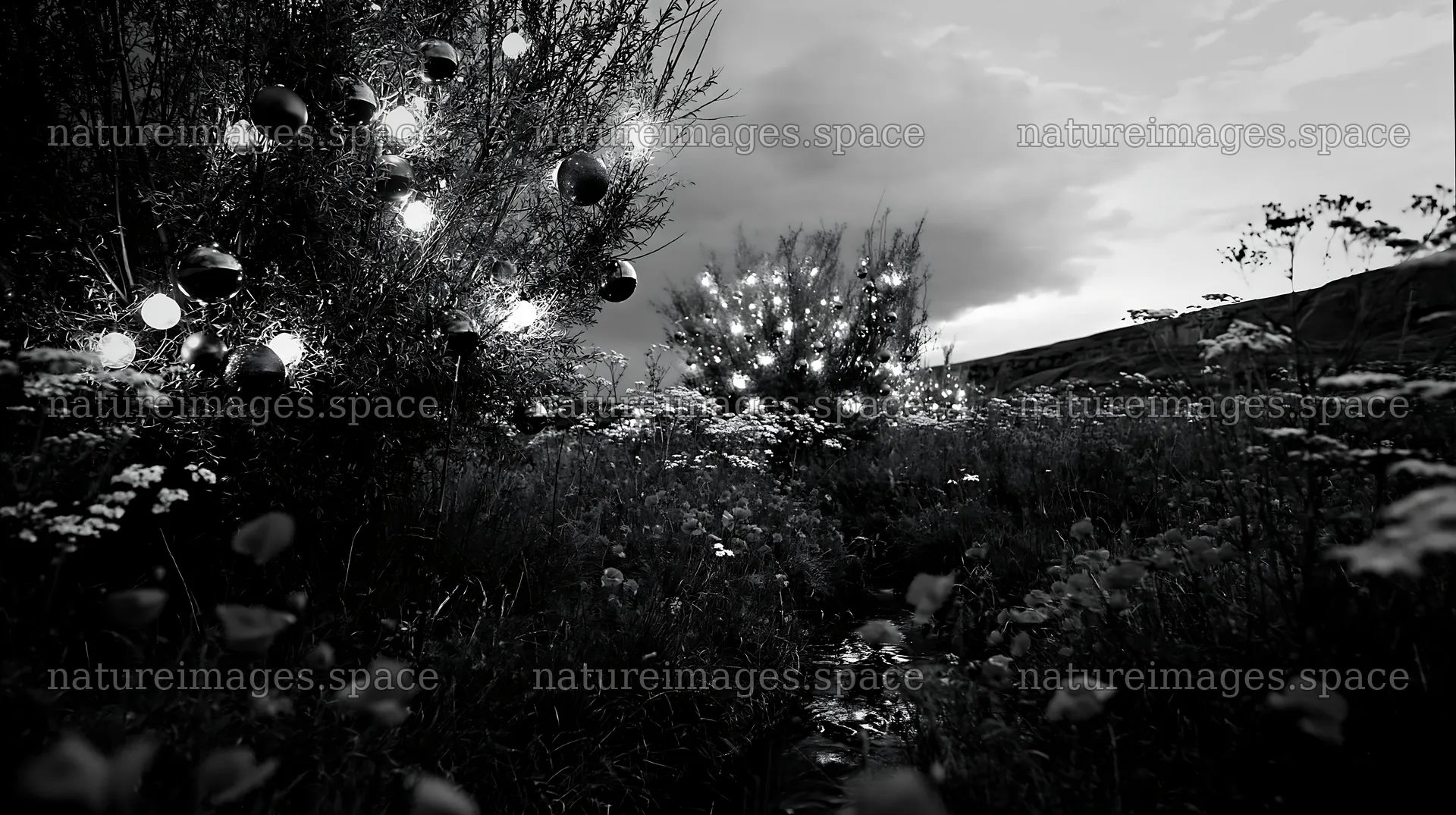 Christmas ornaments above stream in meadow at dusk – nature images 10608x5938