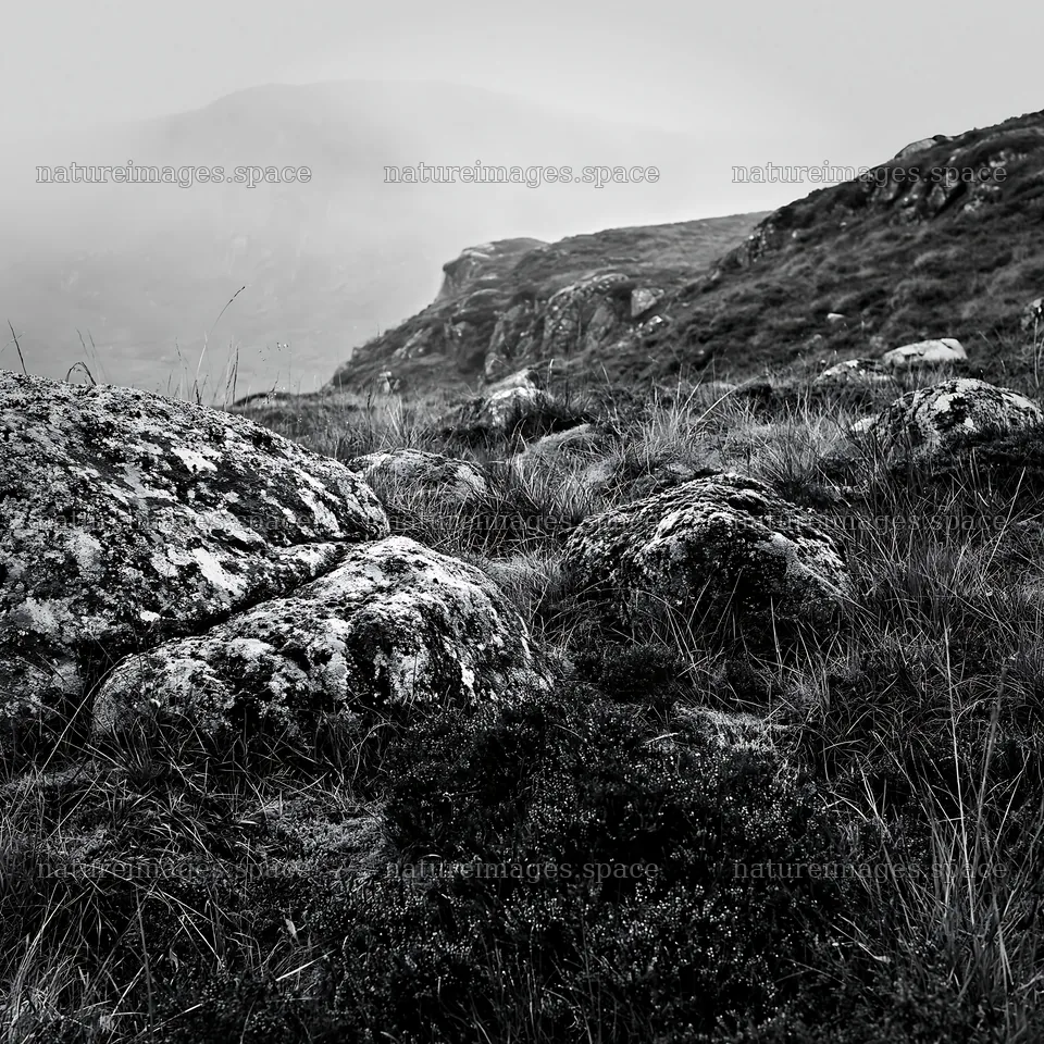 Mossy boulders in a misty meadow landscape – nature images 7938x7938