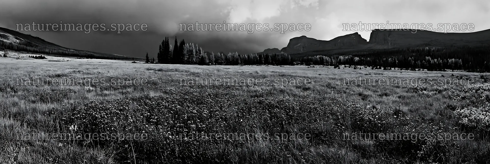 Autumn meadow with distant mountains under dark clouds – nature images 13690x4602