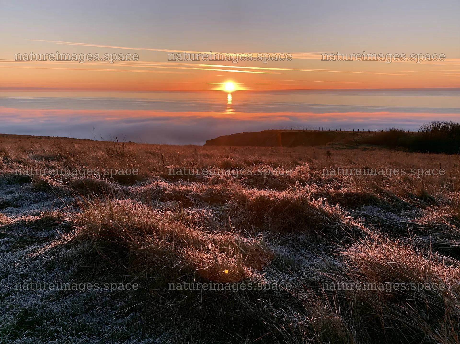 Frosty meadow at sunrise with fog in the distance – nature images 9174x6866
