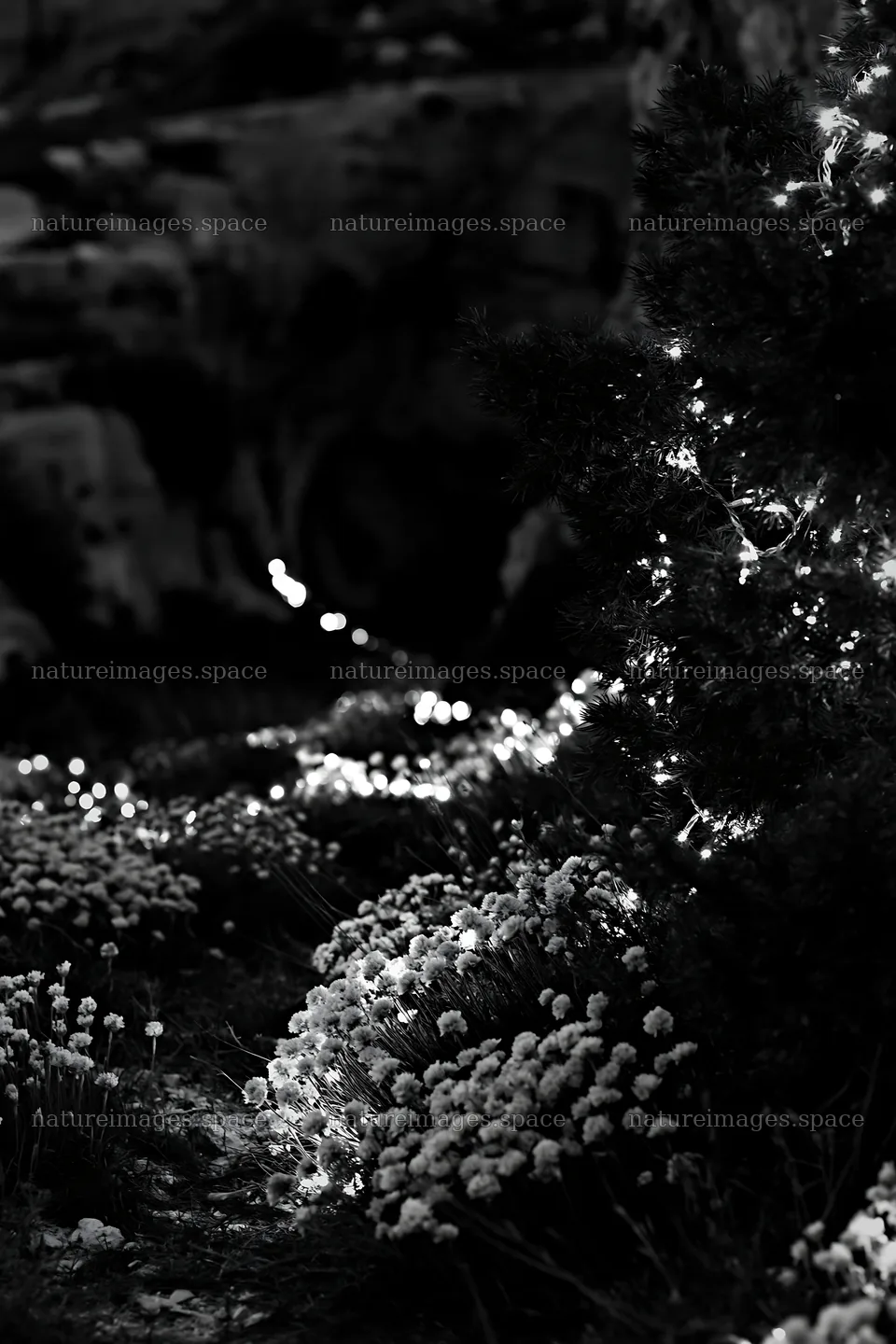 Christmas lights at dusk in meadow by cave – nature images 6480x9722