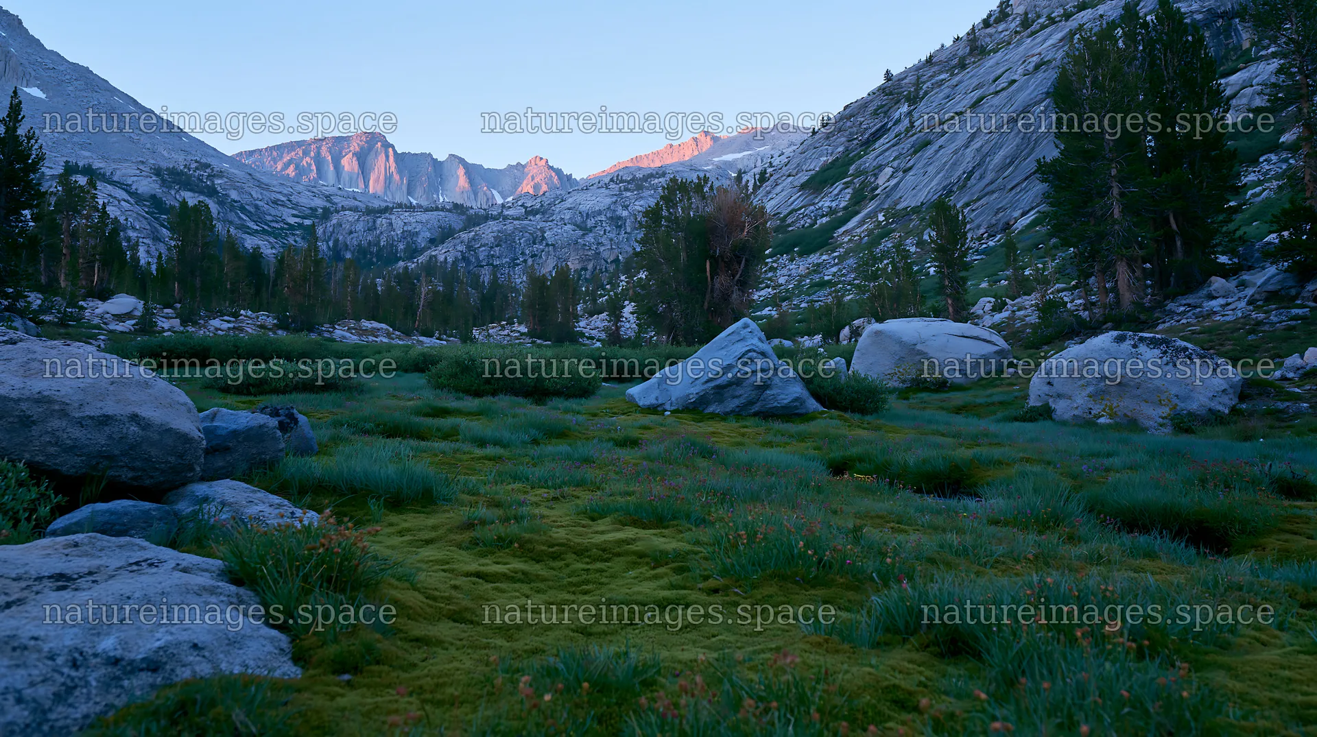 Mossy boulder meadow in a mountain landscape at dusk – nature images 10608x5938