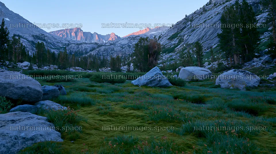 Mossy boulder meadow in a mountain landscape at dusk – nature images 10608x5938