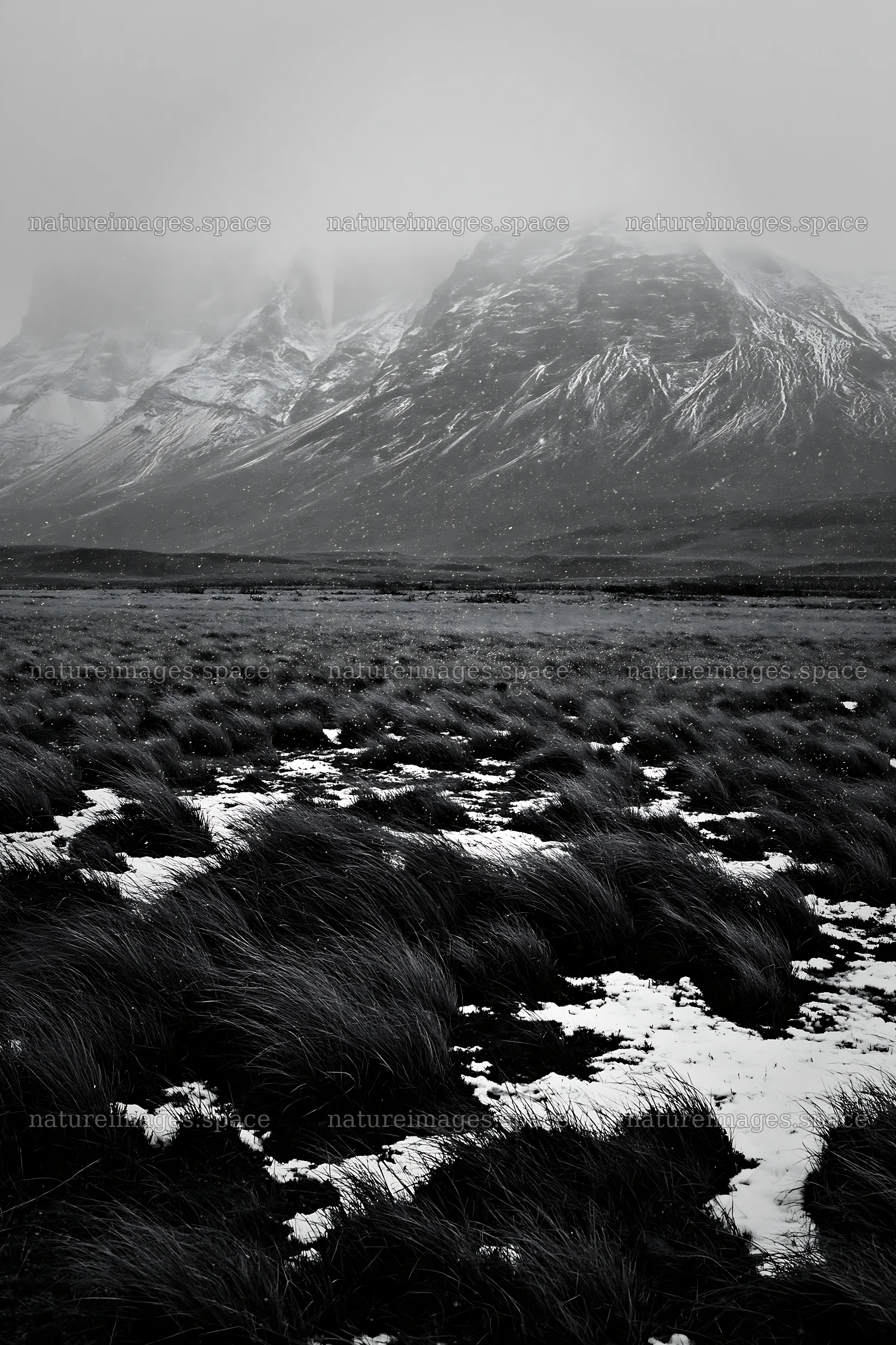 Snowy meadow in Torres del Paine under cloudy skies – nature images 6480x9722