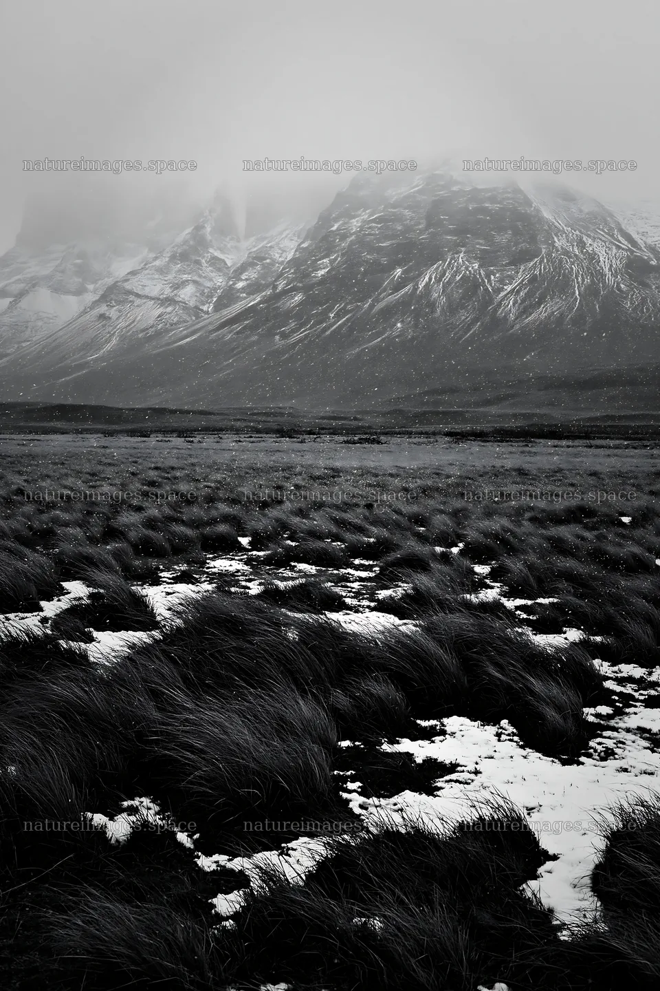 Snowy meadow in Torres del Paine under cloudy skies – nature images 6480x9722
