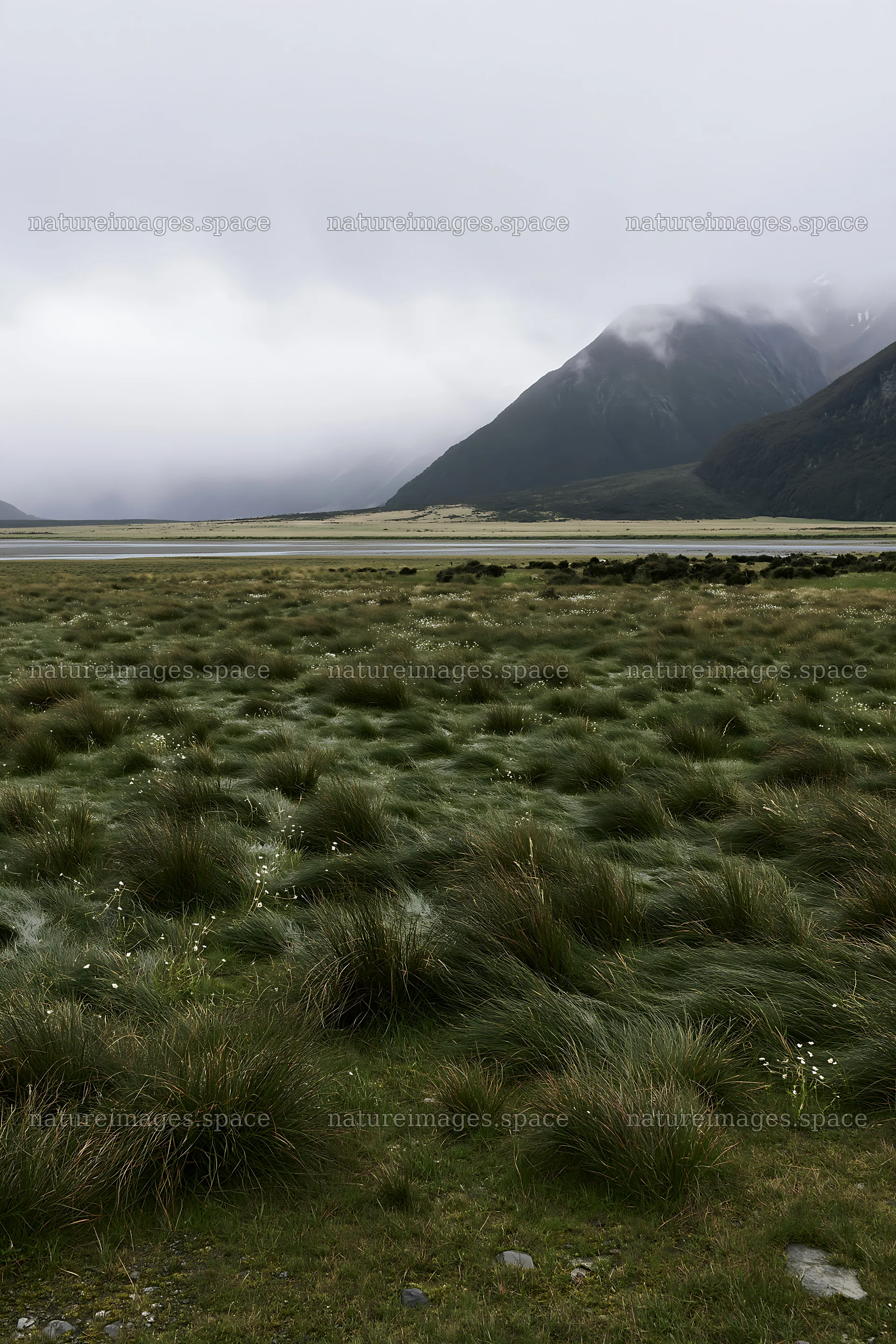 Rain-soaked meadow with mountains in a cloudy sky – nature images 6480x9722
