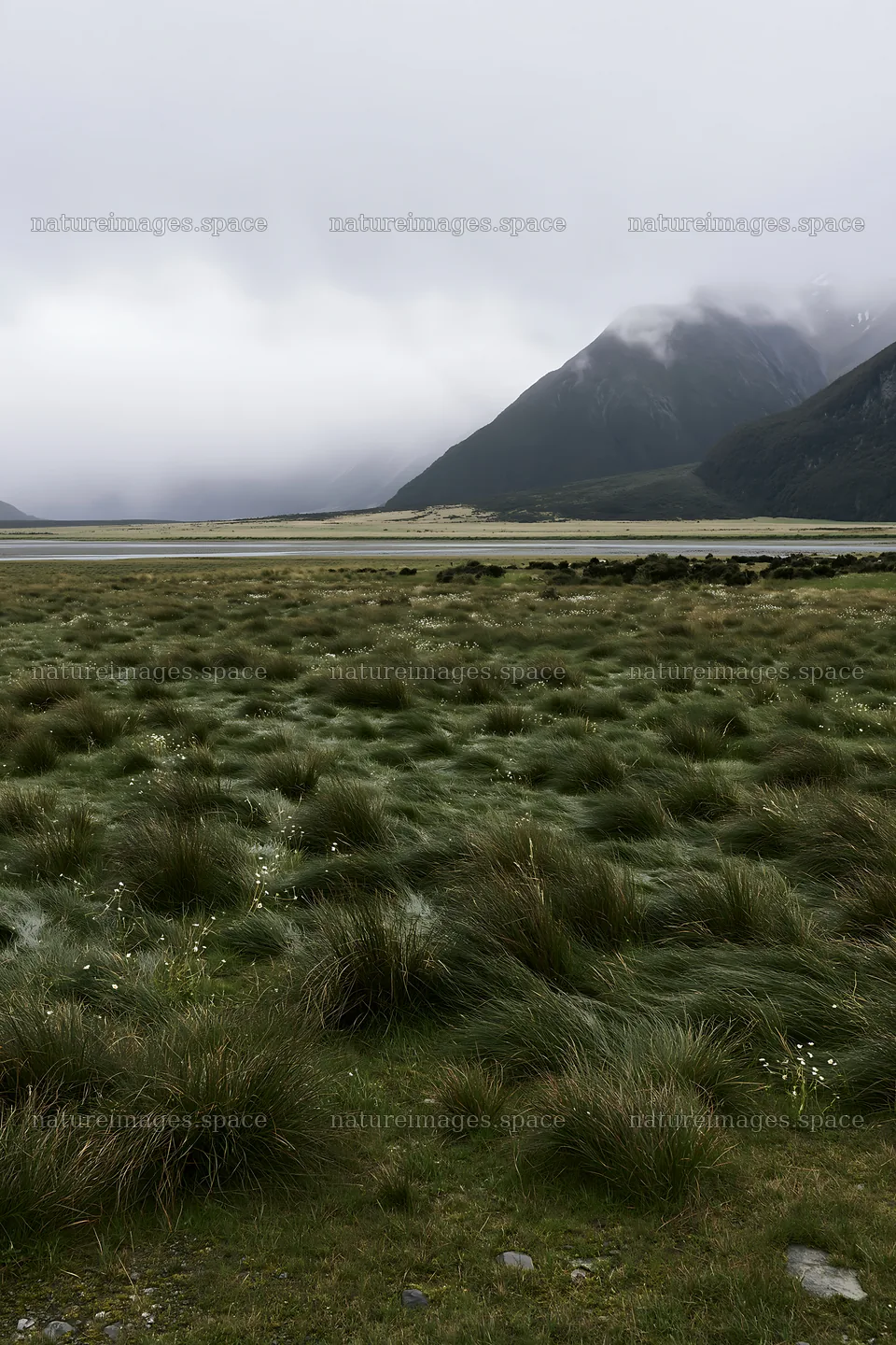 Rain-soaked meadow with mountains in a cloudy sky – nature images 6480x9722