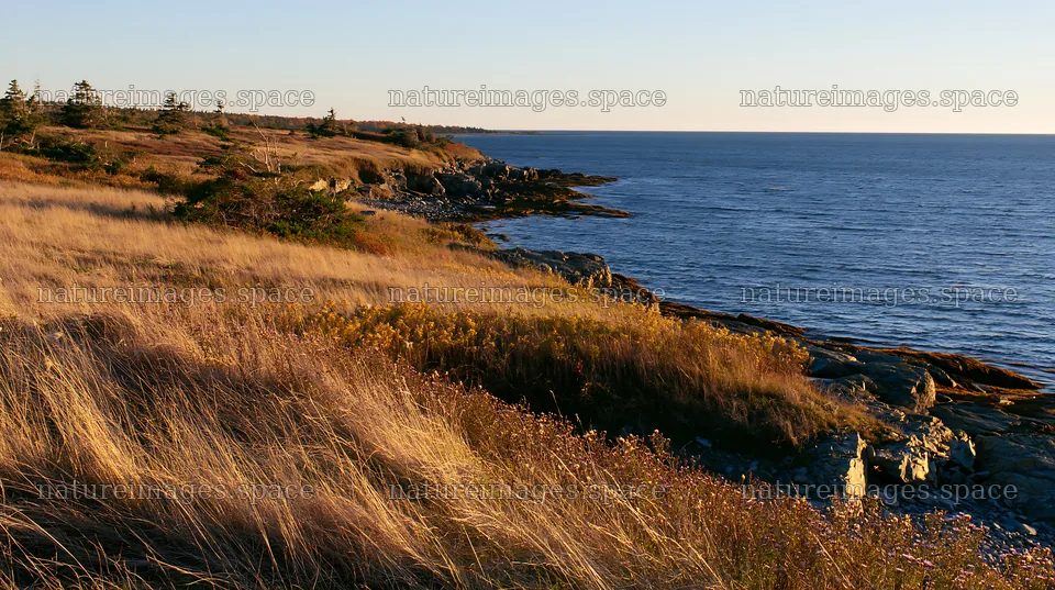 Coastal meadow cliffs at sunset by the ocean – nature images 10608x5938