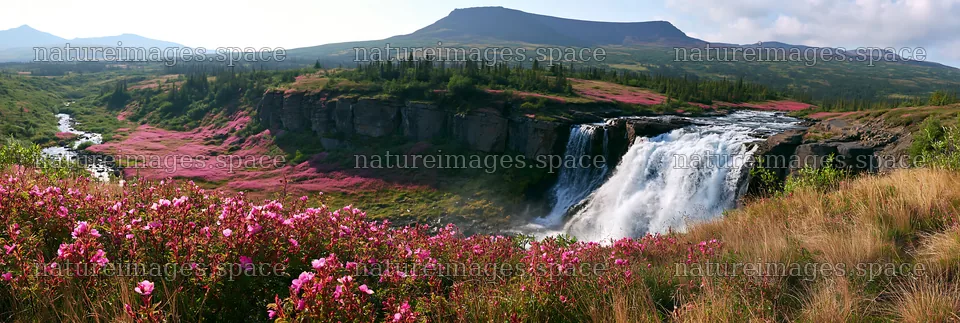 Wild rose waterfall in a meadow with flowing water – nature images 13690x4602
