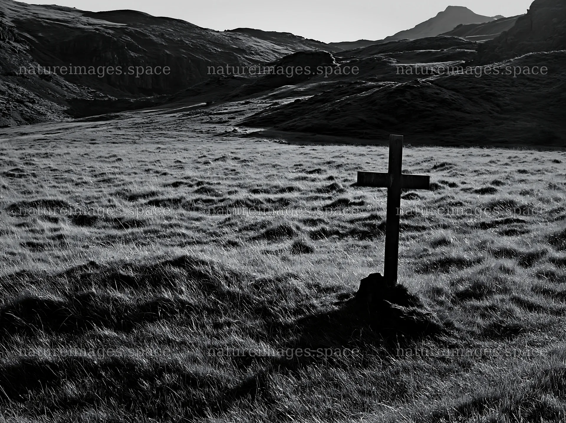 Bronze Christian cross in a Christmas meadow at sunset – nature images 9174x6866