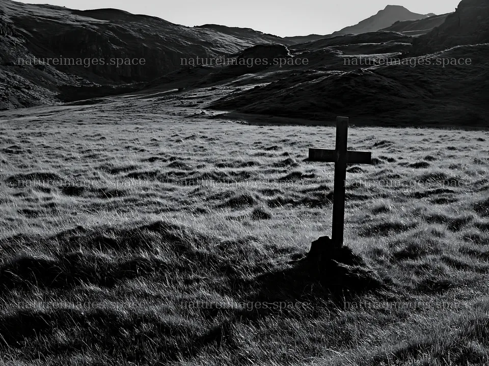 Bronze Christian cross in a Christmas meadow at sunset – nature images 9174x6866