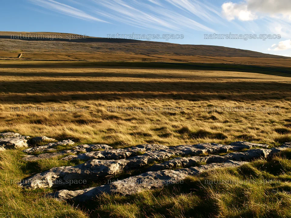 Autumn meadow with rocky terrain under clear sky – nature images 9174x6866