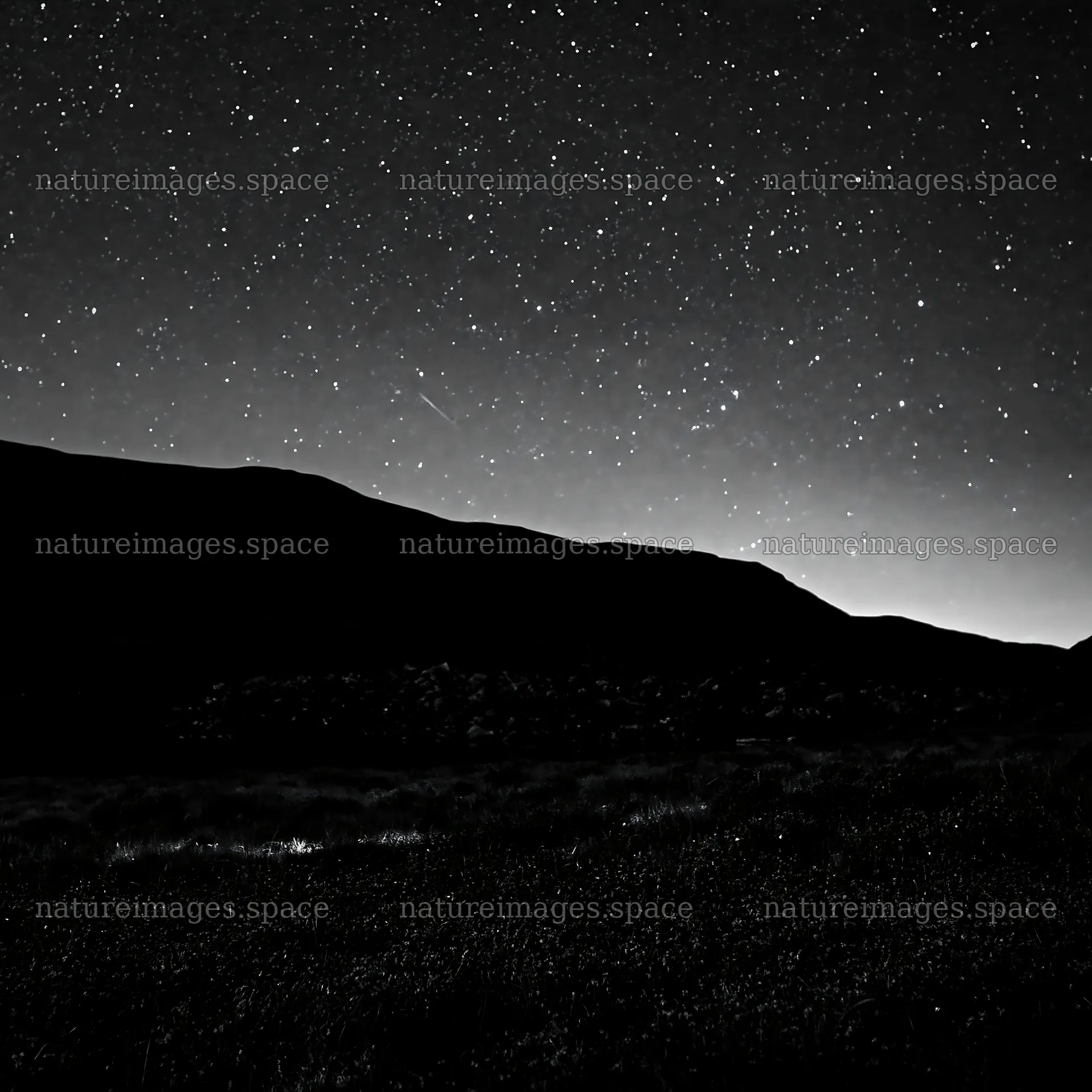 Stars shining above a dark sky meadow – nature images 7938x7938