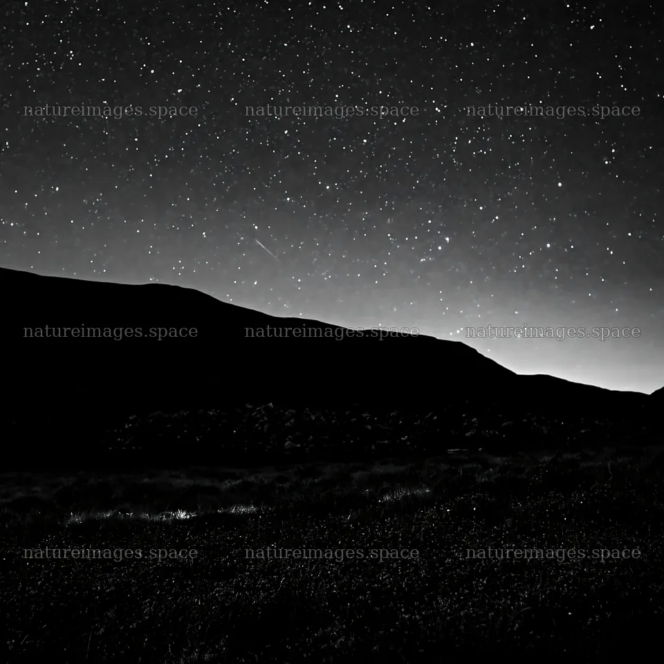 Stars shining above a dark sky meadow – nature images 7938x7938
