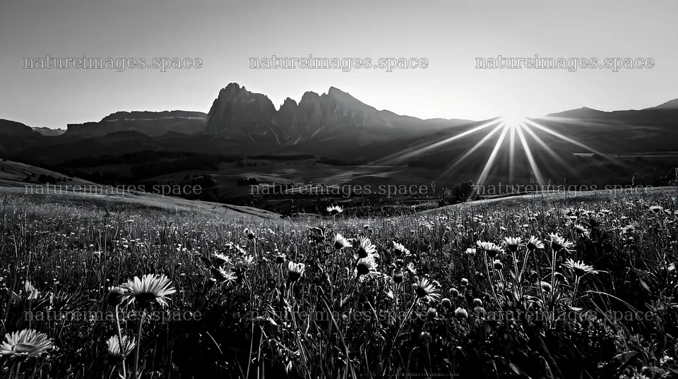 Sunbeams over Alpe di Siusi meadow with mountains in background – nature images 10608x5938