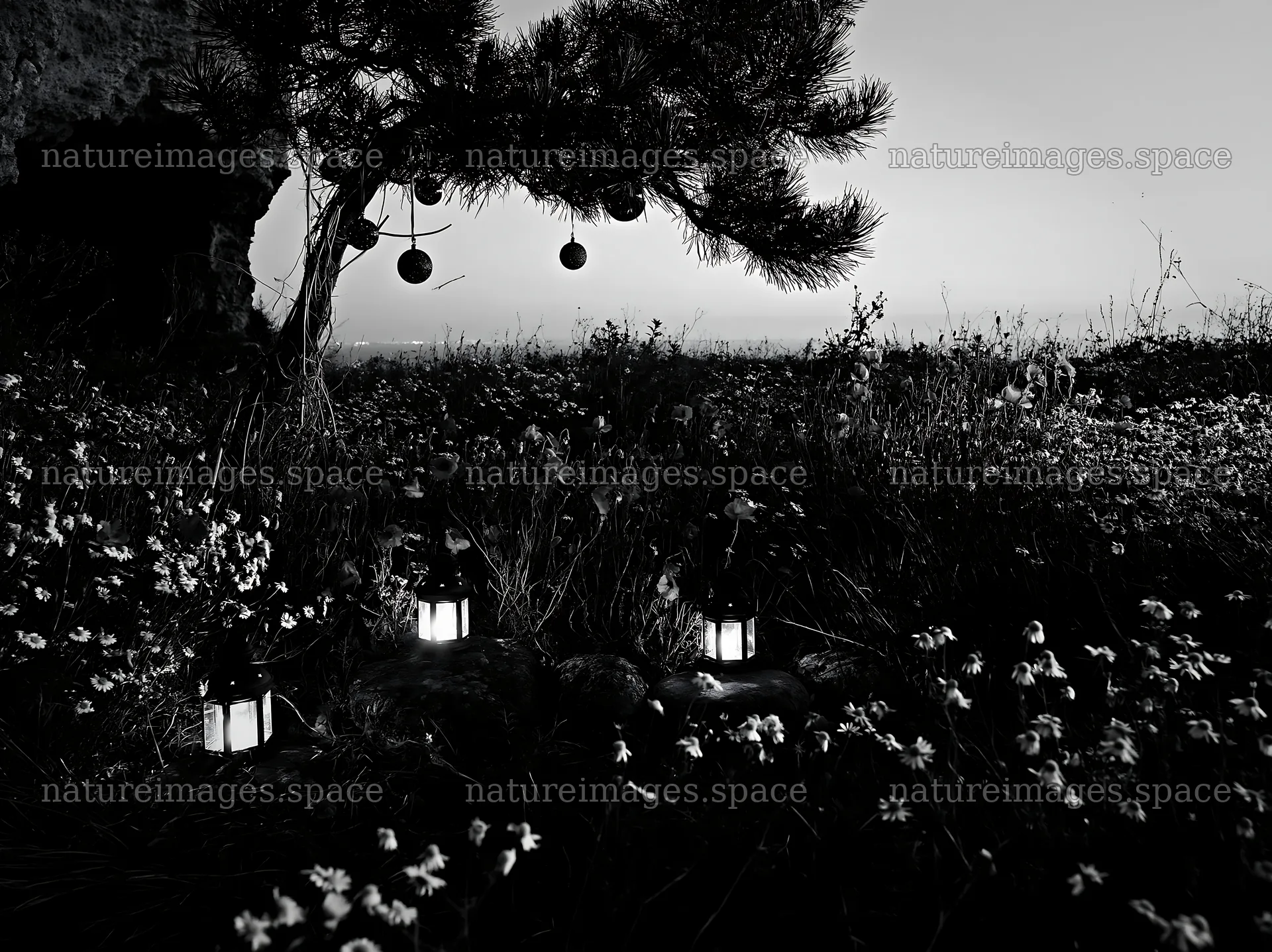 Christmas lanterns in meadow by cave at dusk – nature images 9174x6866