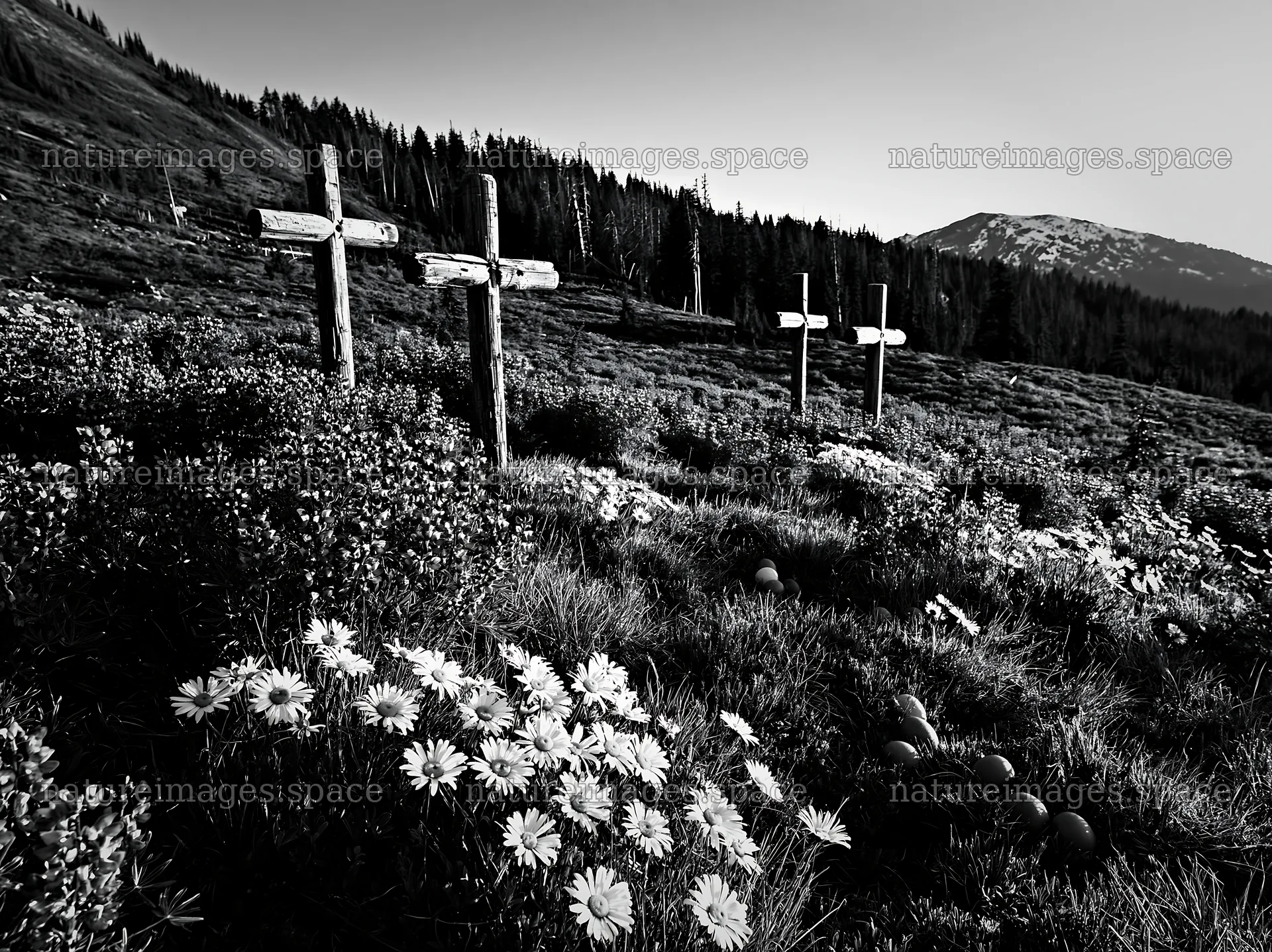 Christian crosses beside mineral spring meadow landscape – nature images 9174x6866