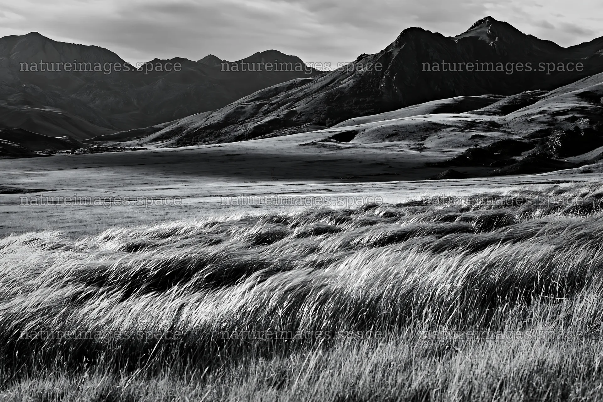 Rolling valley meadows with mountains in the background – nature images 9722x6480